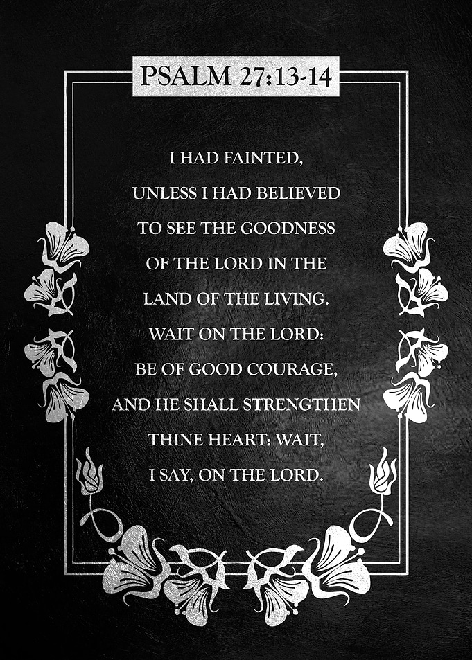 Psalm 27 13 14