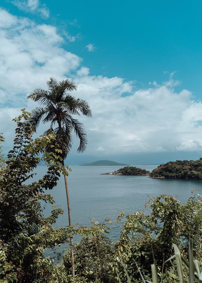 Nature Landscape 15
