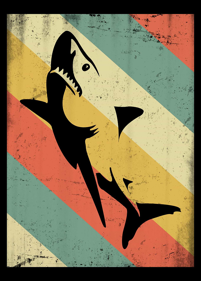 Shark Distressed 70s