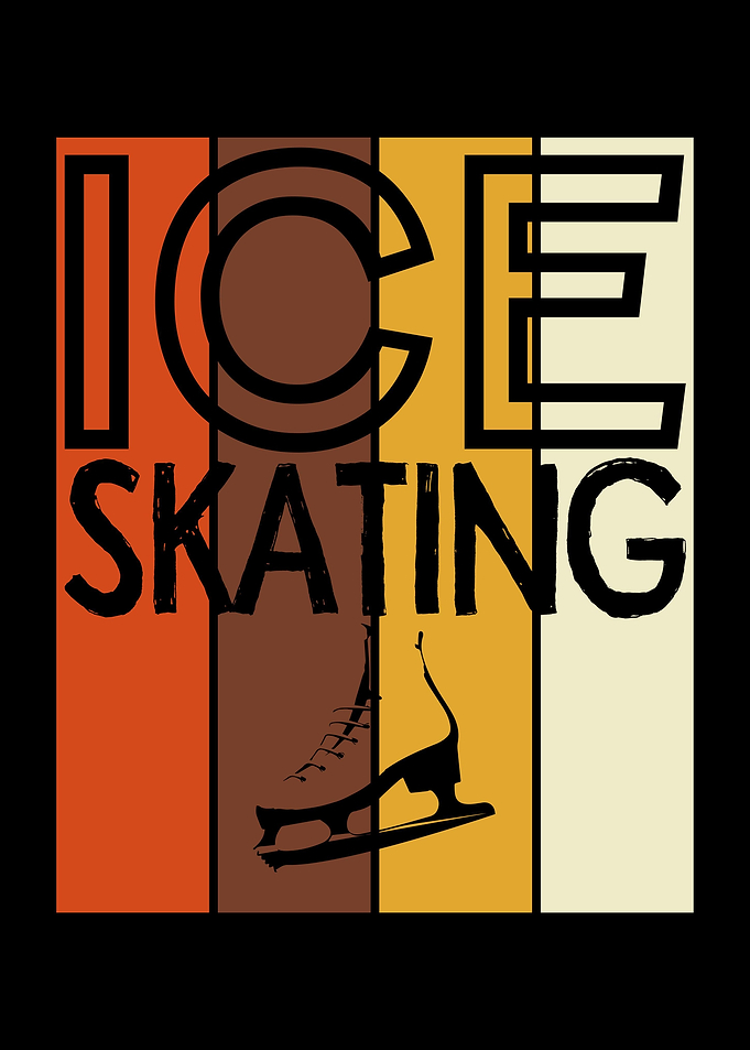 Ice Skating Shoe Vintage