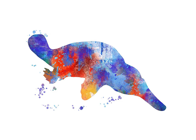 Platypus