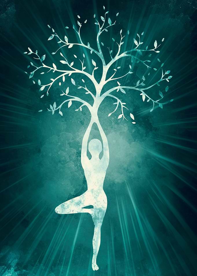 zen om yoga meditate