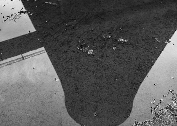 Water reflection