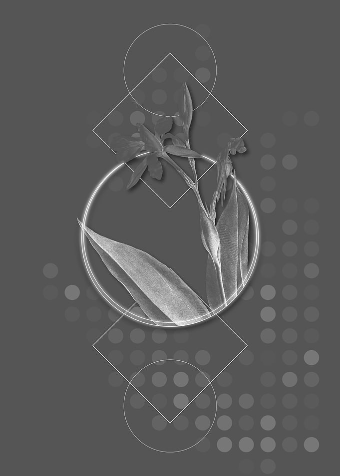Gray Geometric Lily Flower