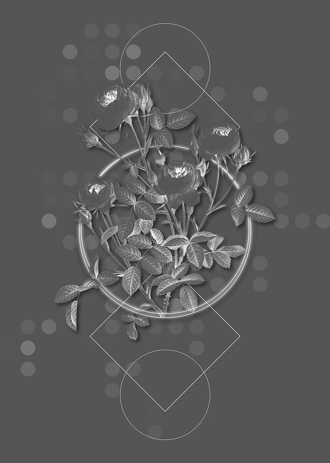 Gray Geometric Rose Flower