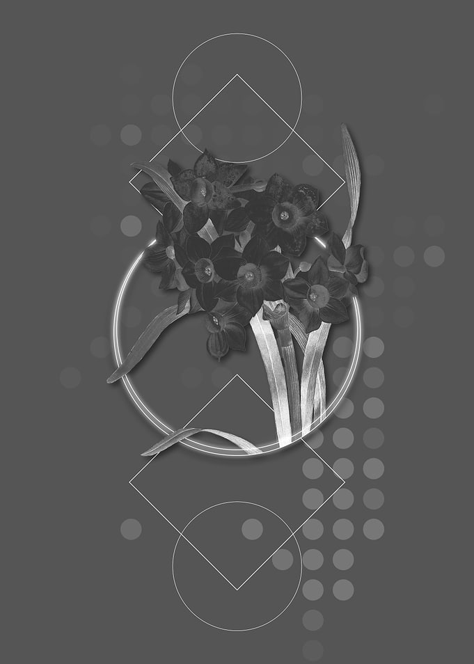 Gray Geometric Daffodil
