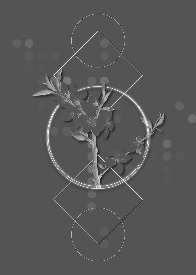 Gray Geometric Almond Tree