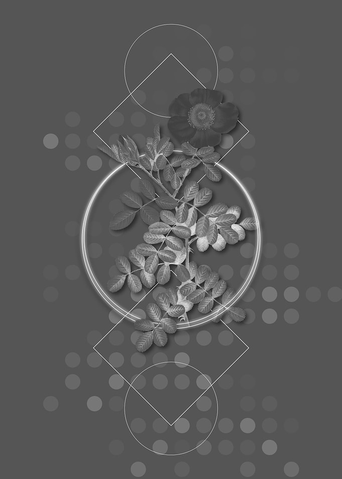 Gray Geometric Rose Flower