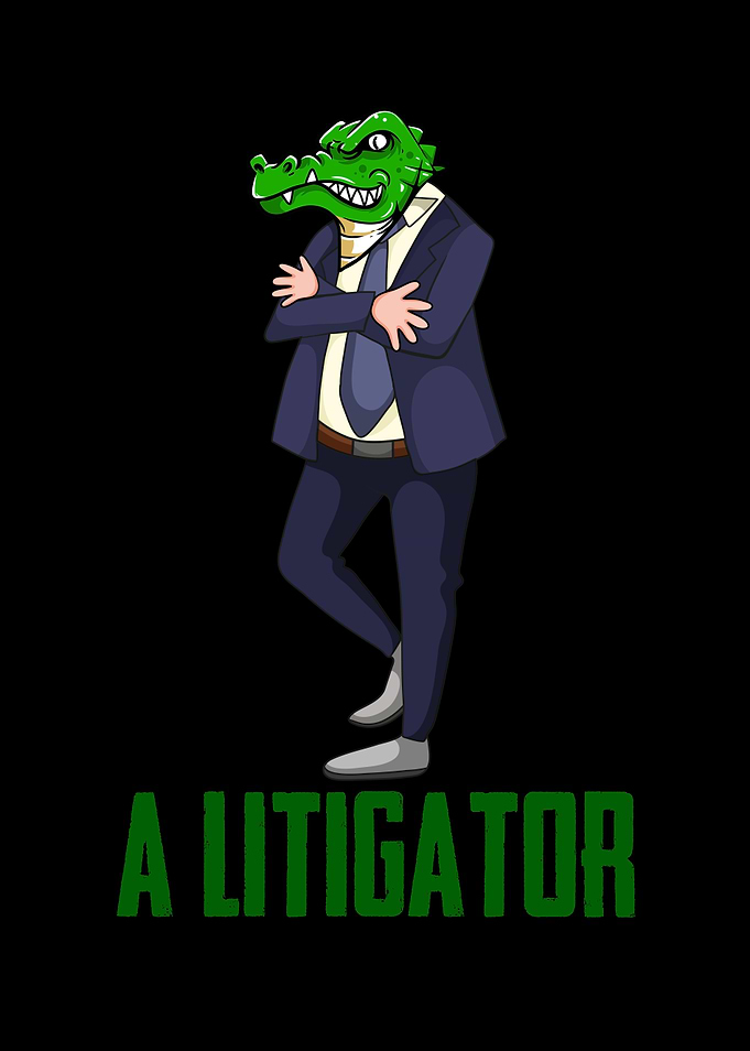 A Litigator