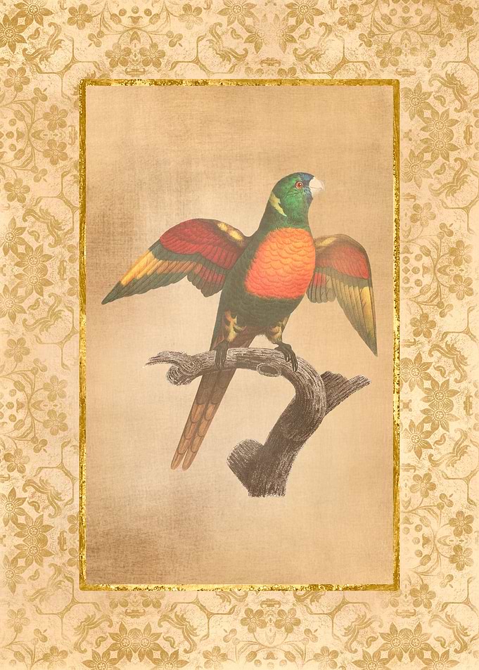 Vintage Parrot