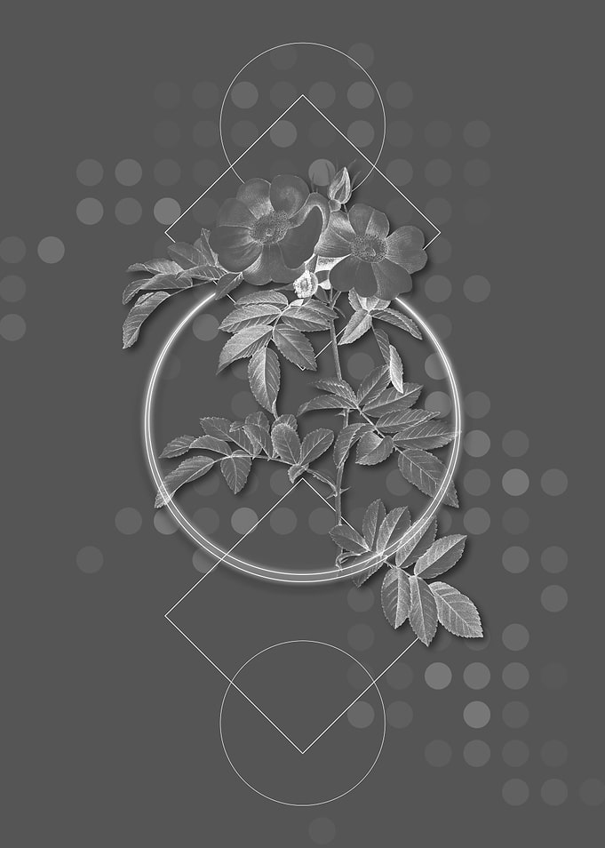Gray Geometric Rose Flower