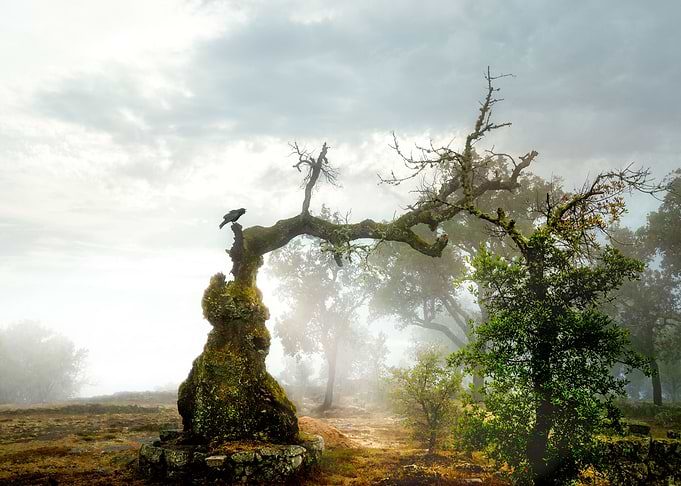 Celtic Path