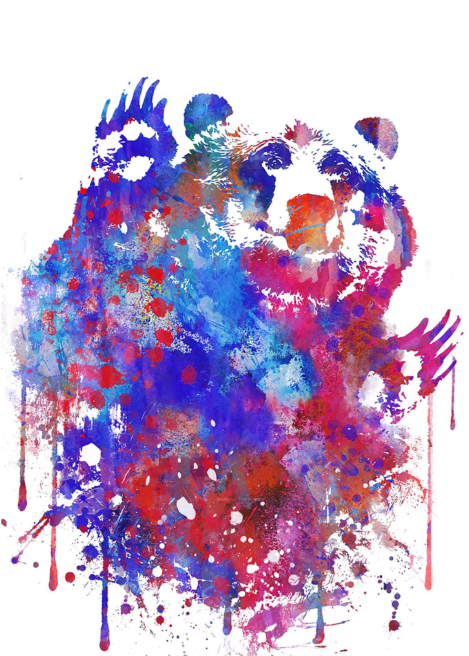 Bear