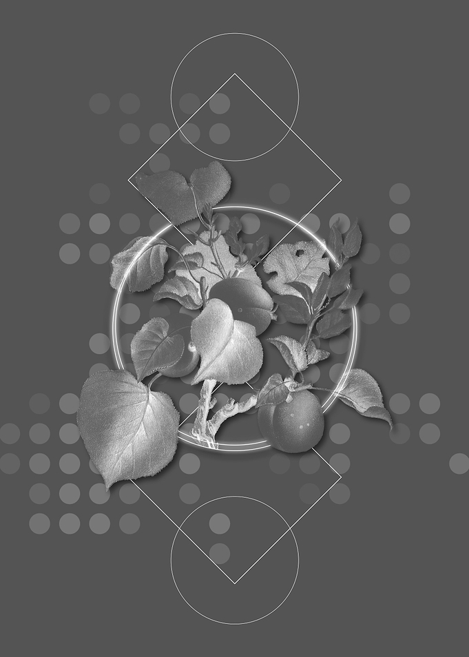 Gray Geometric Apricot