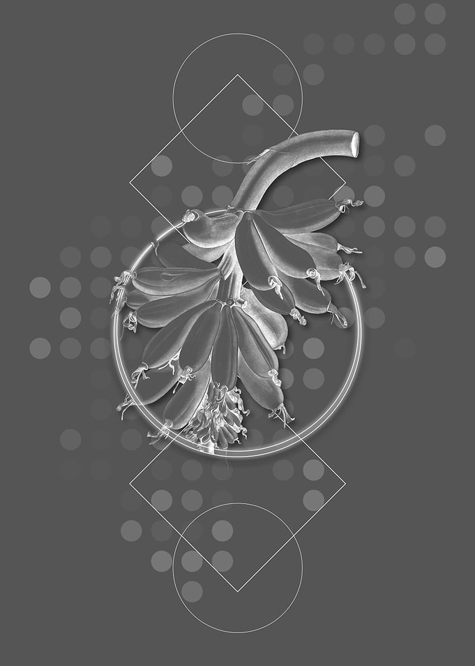 Gray Geometric Banana