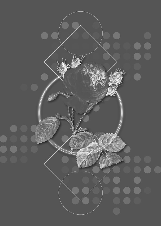 Gray Geometric Rose Flower