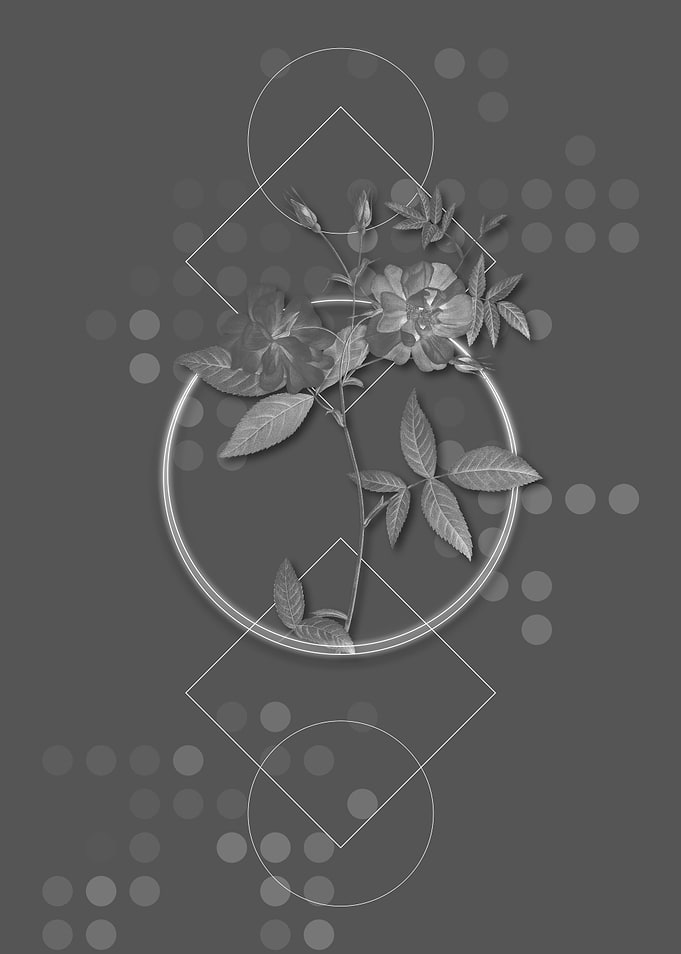 Gray Geometric Rose Flower