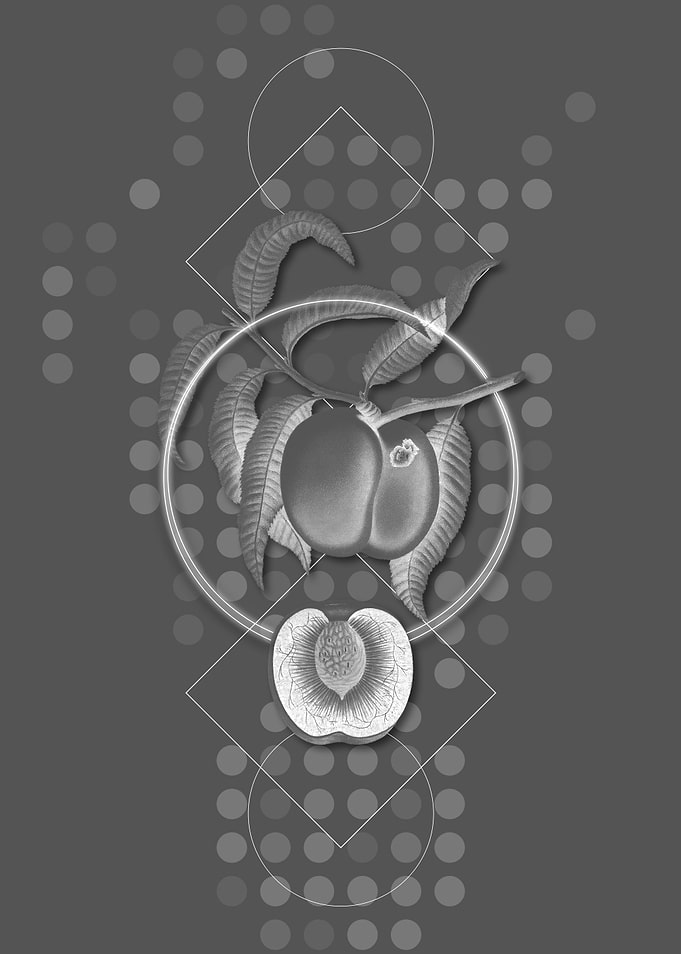 Gray Geometric Peach Fruit