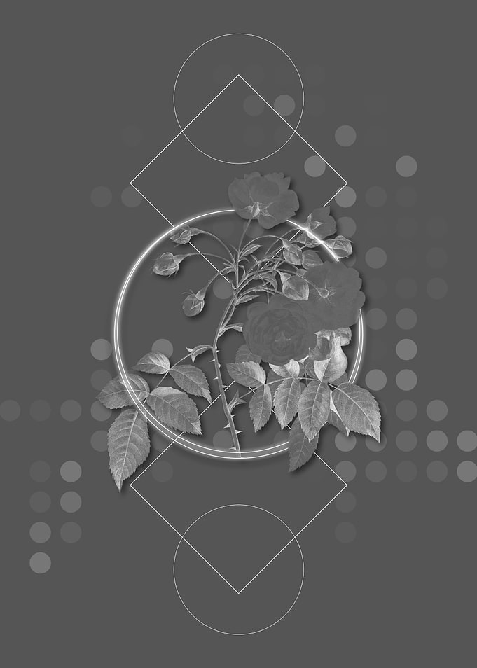 Gray Geometric Rose Flower