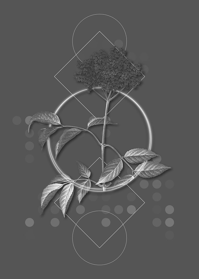 Gray Geometric Elderflower