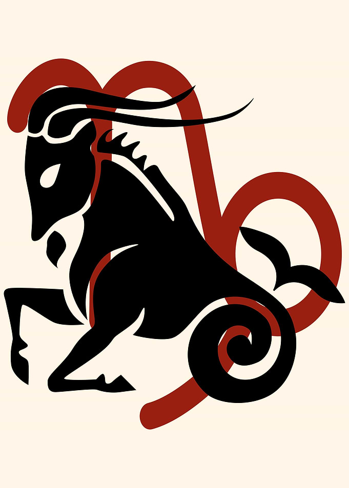 ZODIAC SHADOW CAPRICORN