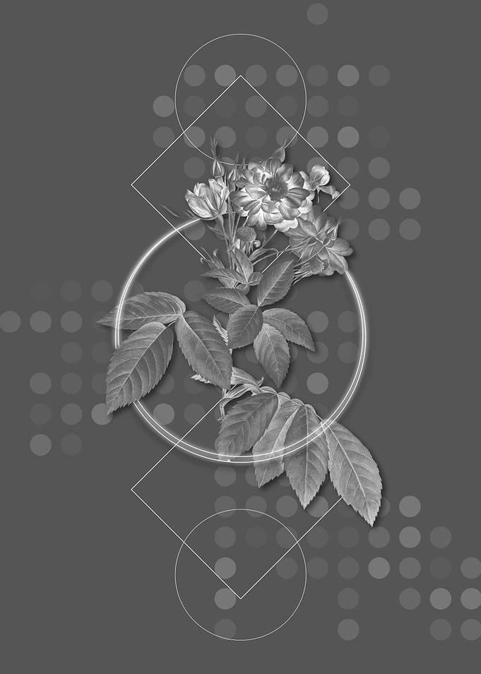 Gray Geometric Rose Flower