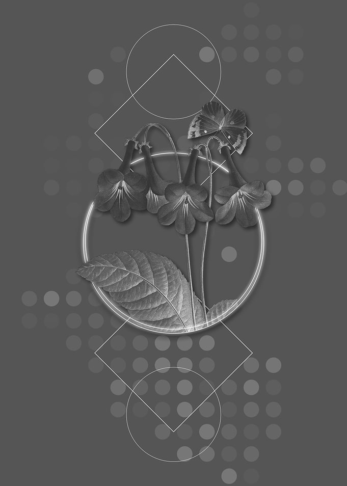 Gray Geometric Flowers