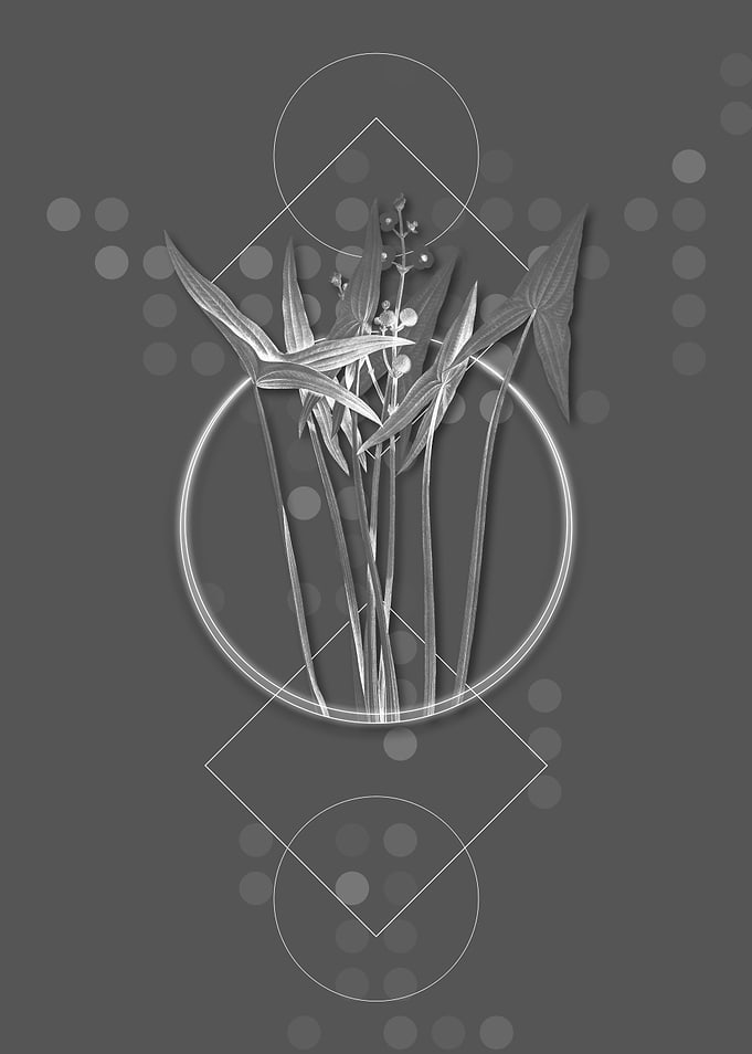 Gray Geometric Arrowhead
