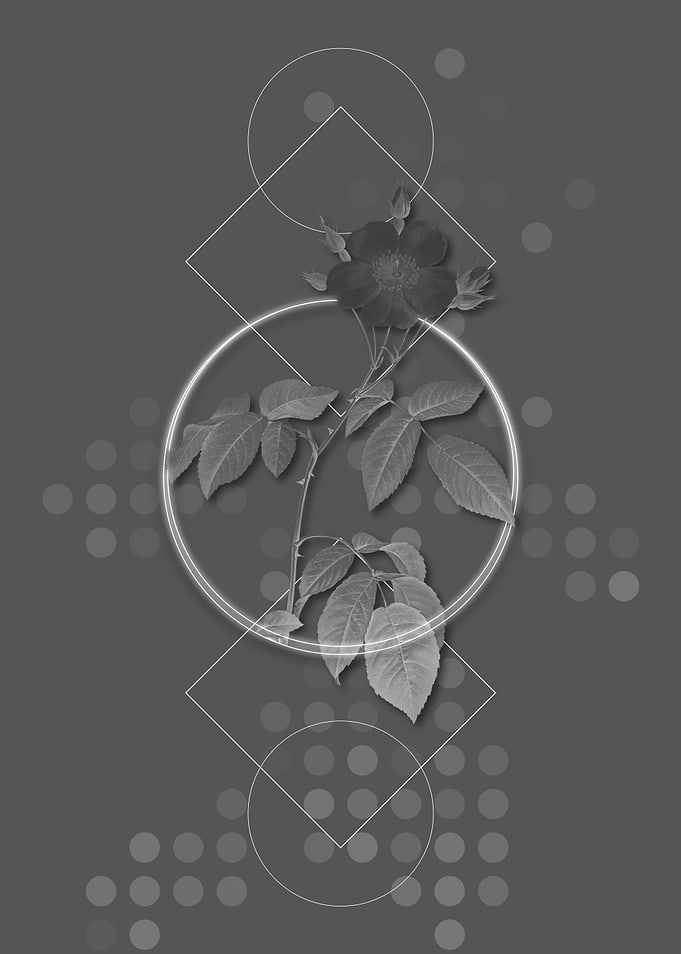 Gray Geometric Rose Flower