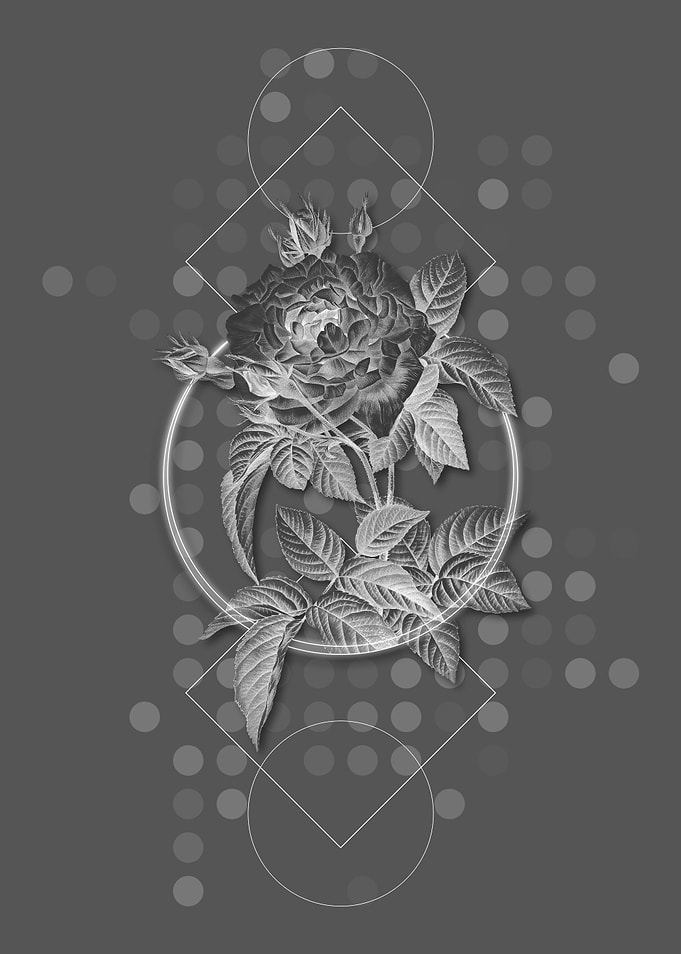 Gray Vintage Rose Flower