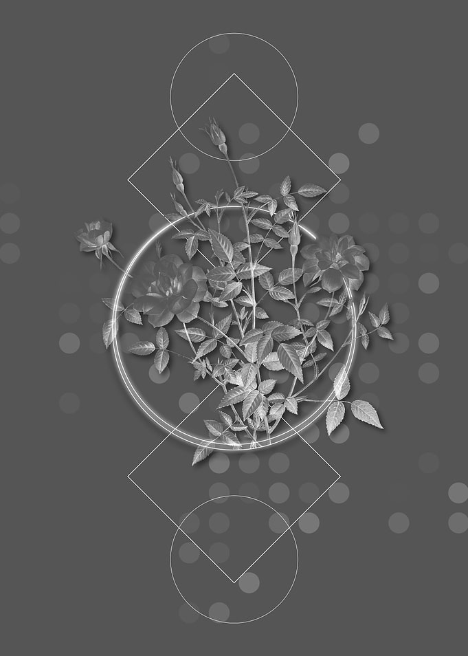 Gray Geometric Rose Flower