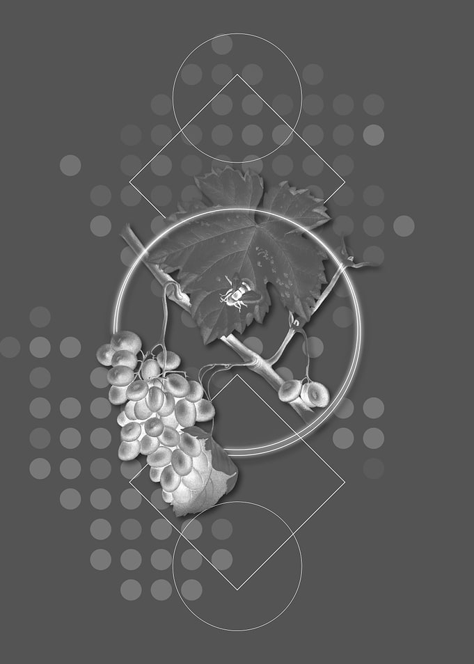 Gray Geometric Grape Fruit