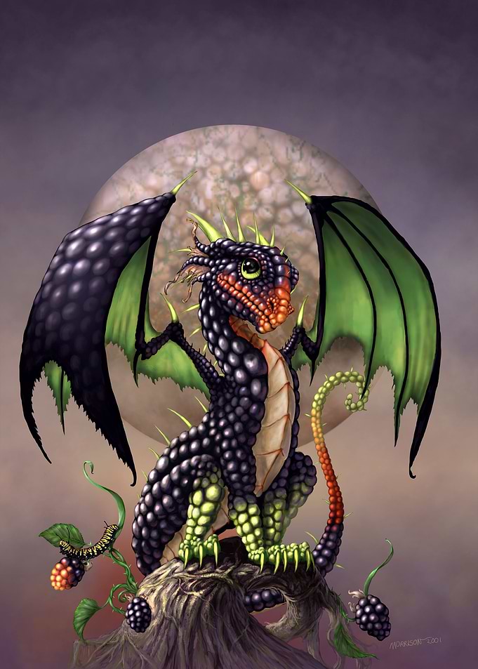 Blackberry Dragon
