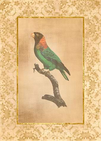 Vintage Parrot