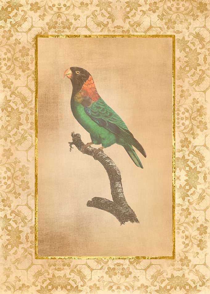 Vintage Parrot