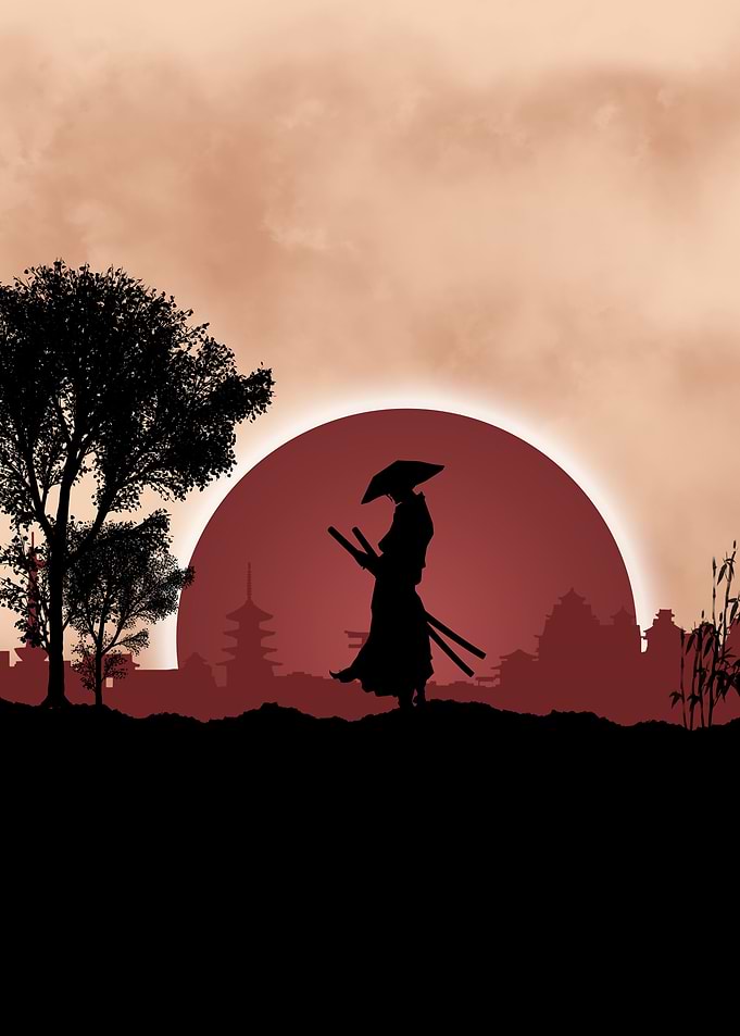 ninja a shadow