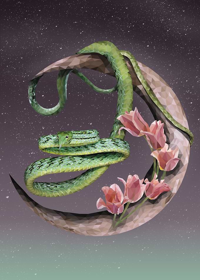 Asian vine snake