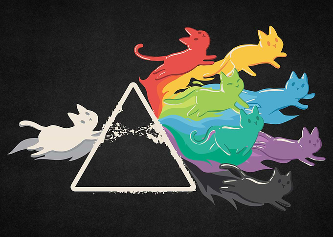 CAT RAINBOW PRISM