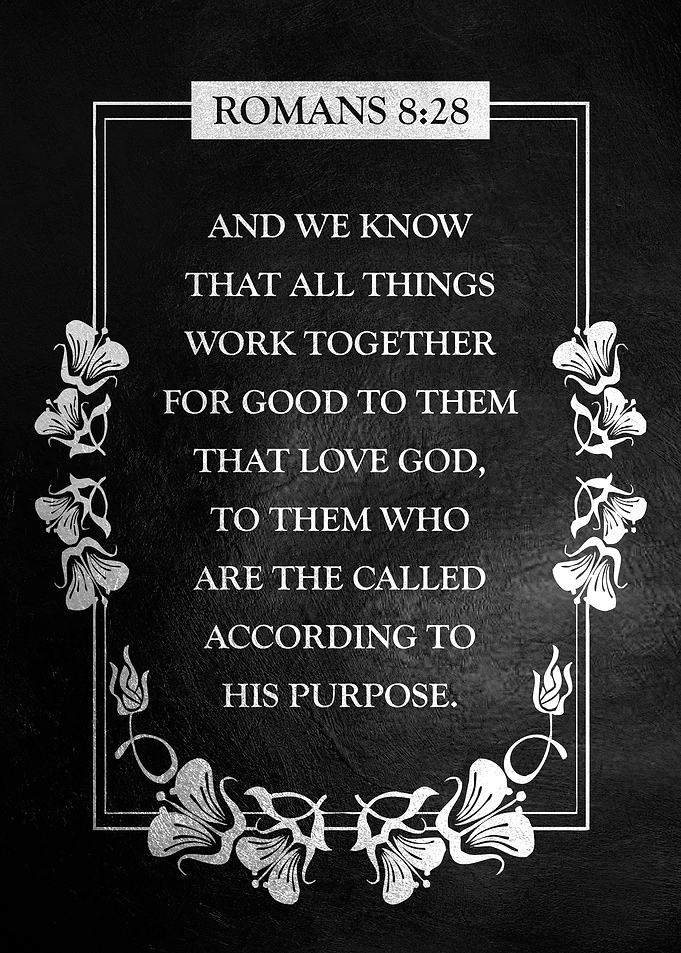 Romans 8 28