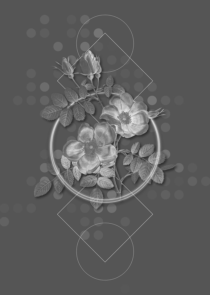 Gray Geometric Rose Flower