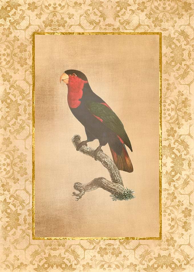 Vintage Parrot