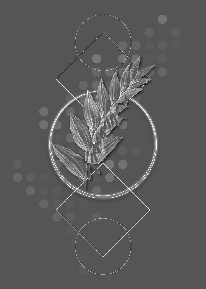 Geometric Solomons Seal