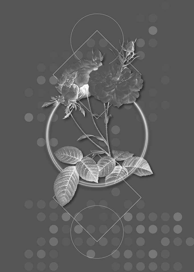 Gray Geometric Rose Flower