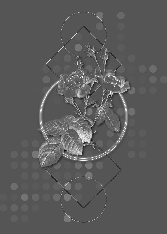 Gray Geometric Rose Flower