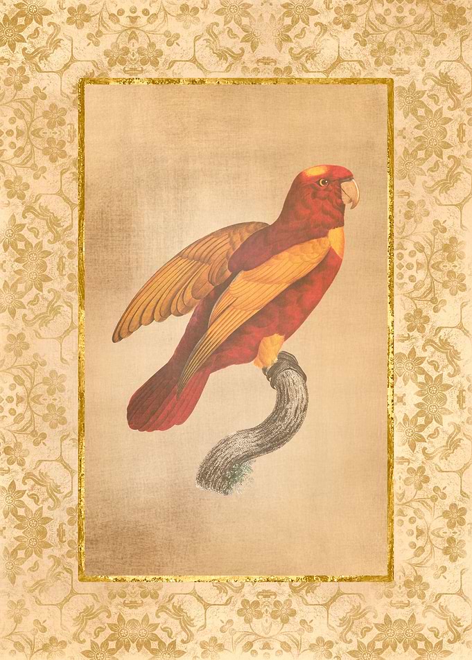 Vintage Parrot