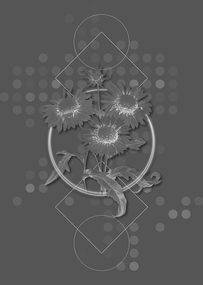 Gray Geometric Flowers