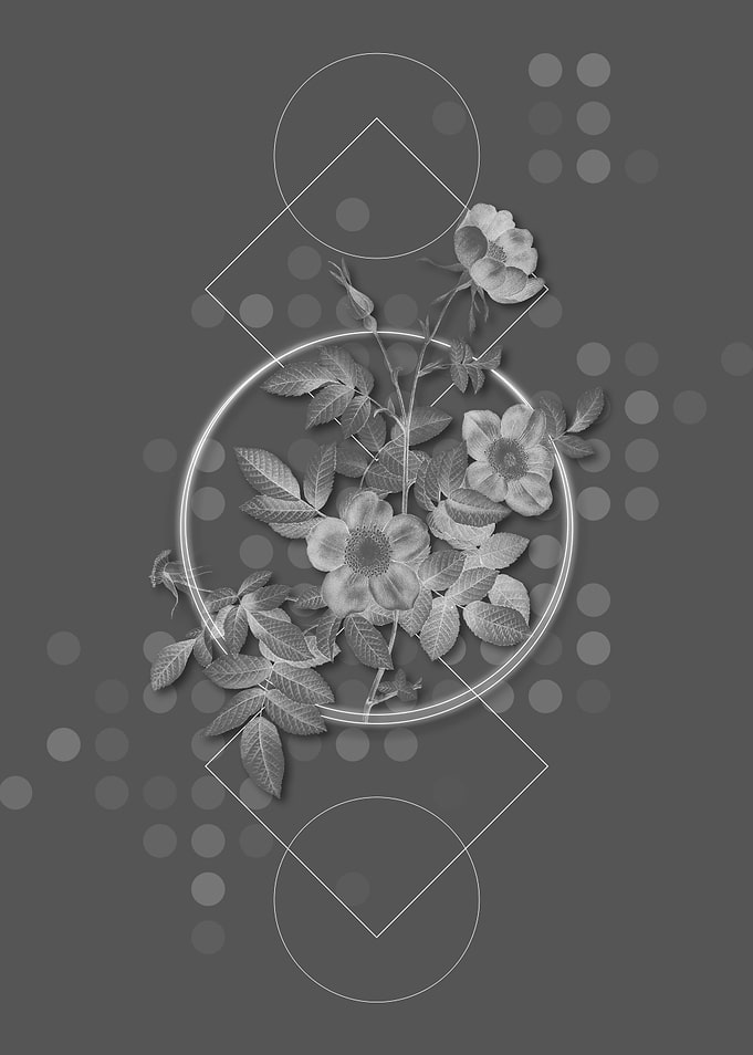 Gray Geometric Rose Flower