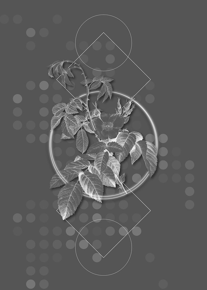 Gray Geometric Rose Flower