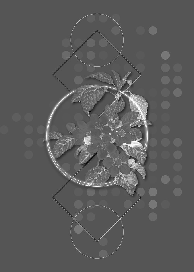 Geometric Apple Blossom
