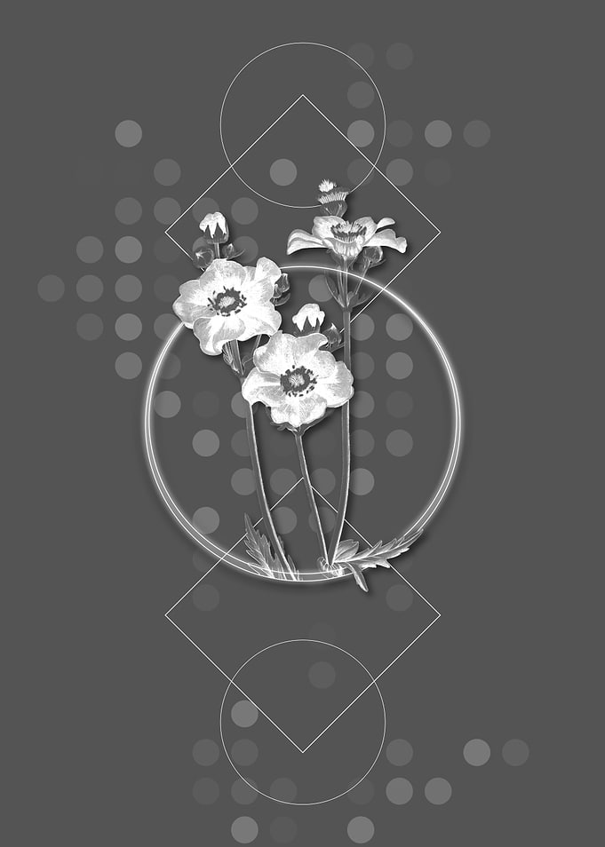 Chilian Guem Flower